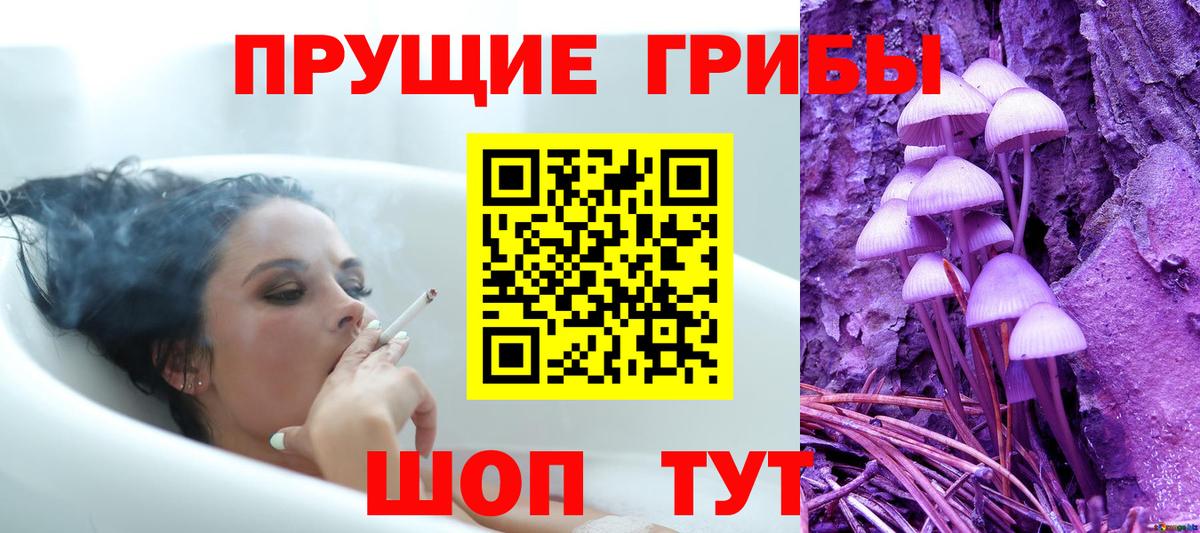 Псилоцибиновые грибы ЛСД  даркнет сайт  Георгиевск  Вход с VPN  Псилоцибиновые грибы Psilocybe 
